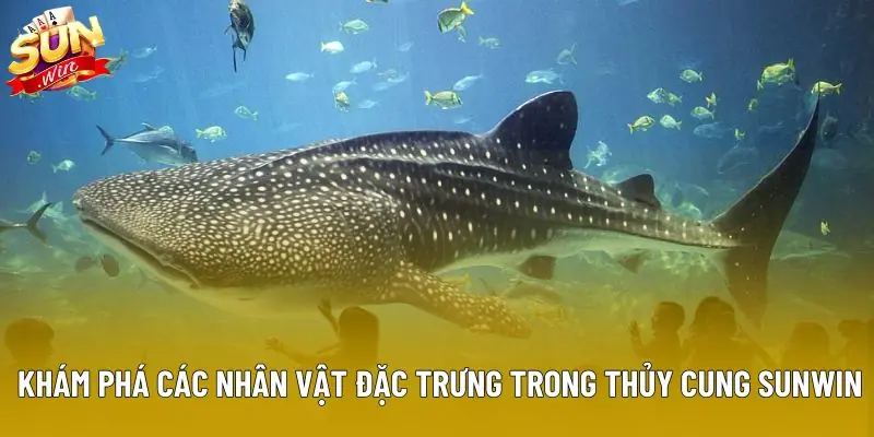 Khám phá các nhân vật đặc trưng trong Thủy Cung Sunwin